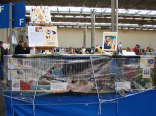 expo_utrecht25jan2009_cage.jpg