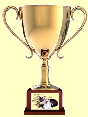 trophee_chattrie_2